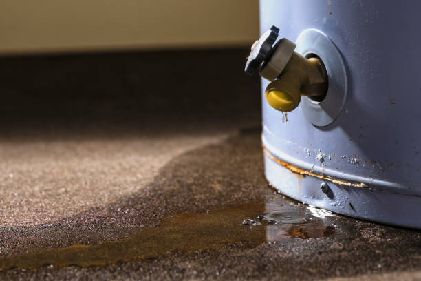 Best 24-hour water damage restoration  in Adel, GA