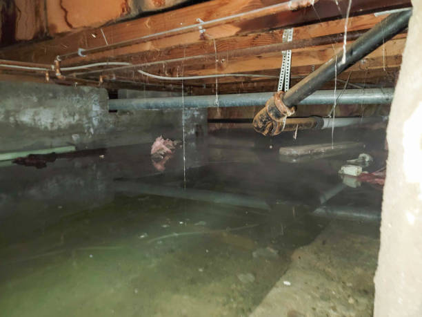 Best Emergency water damage restoration  in Adel, GA