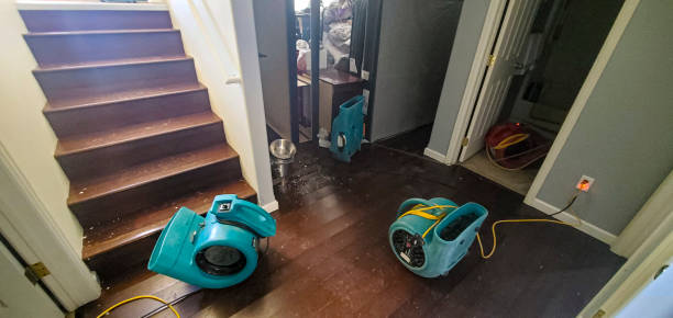 Best Water damage cleanup near me  in Adel, GA