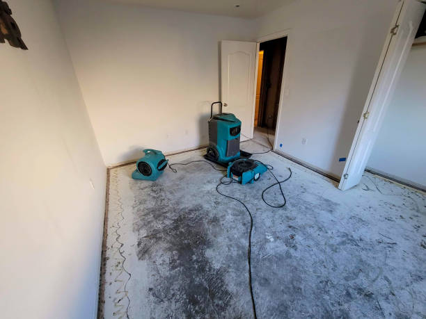Best Commercial water damage restoration  in Adel, GA