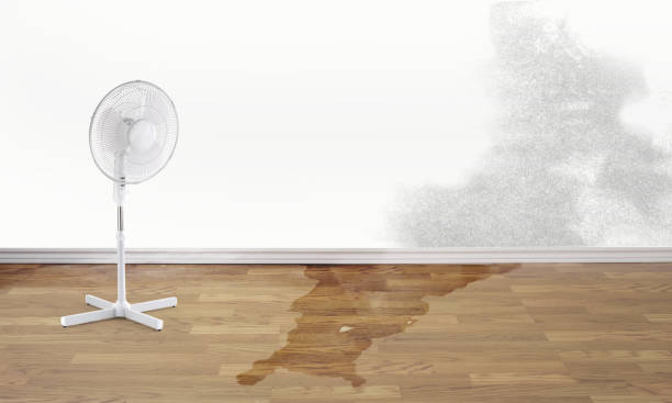 Best Water damage restoration near me  in Adel, GA