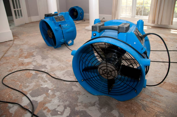 Best Water damage restoration near me  in Adel, GA