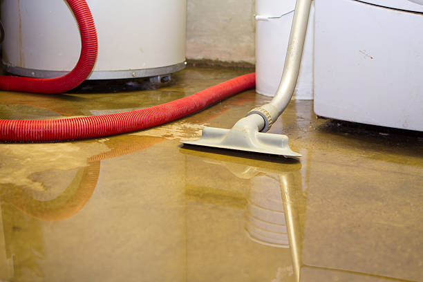 Best Sewage cleanup and water damage restoration  in Adel, GA