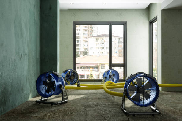 Best Residential water damage restoration  in Adel, GA