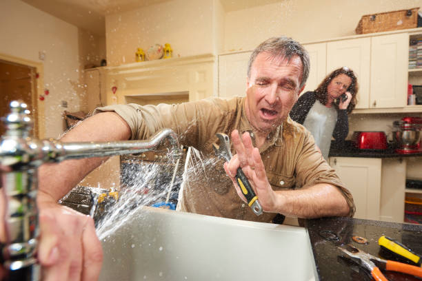 Best Mold removal after water damage  in Adel, GA